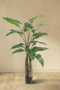Alocasia plante artificielle (h150cm / Ø15cm)