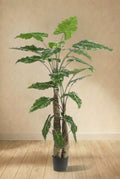 Alocasia plante artificielle (h180cm / Ø15cm)