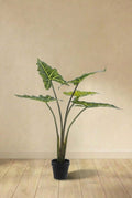 Alocasia artificiel (h80cm / Ø12cm)