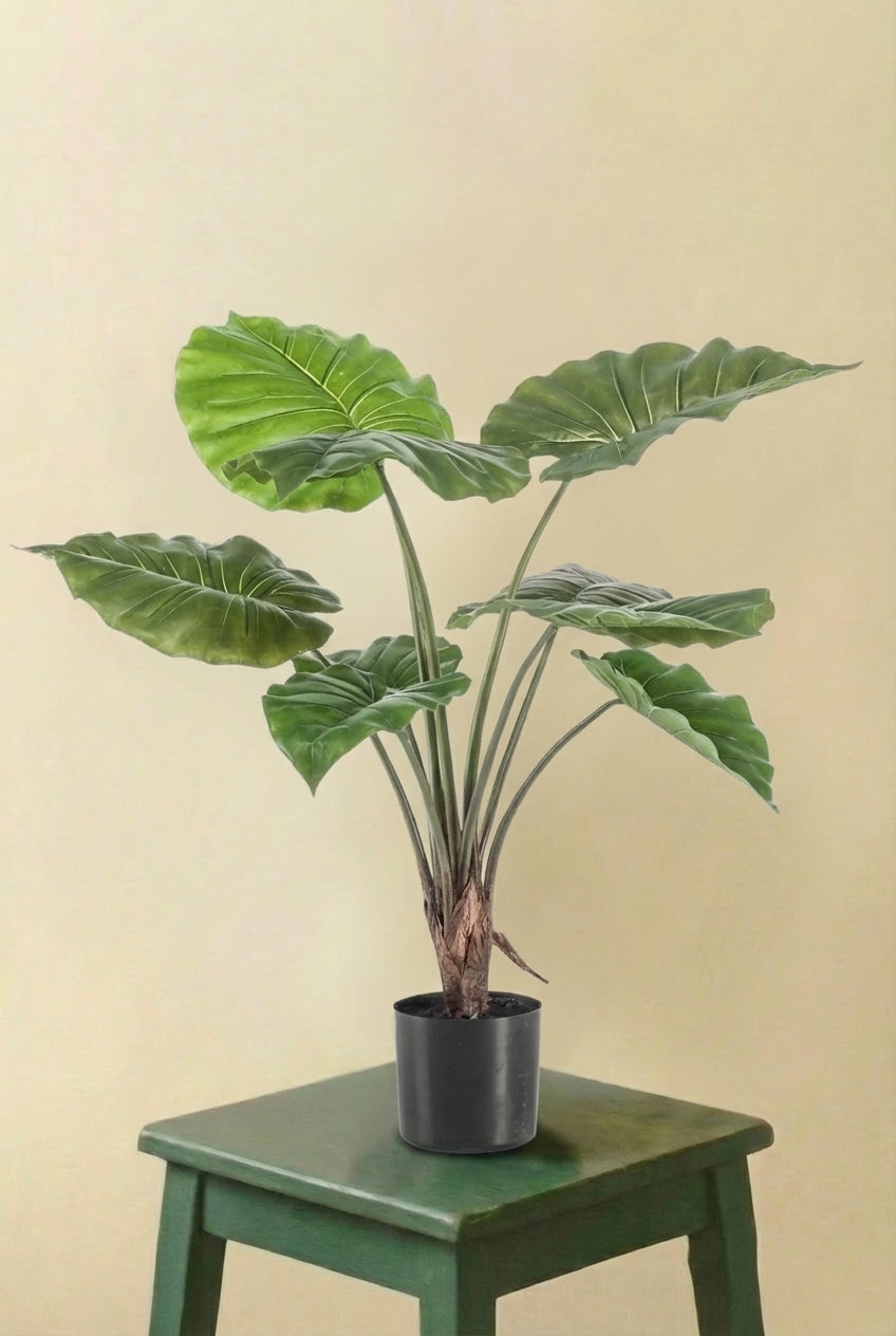 Alocasia plante artificielle (h70cm / Ø12cm)