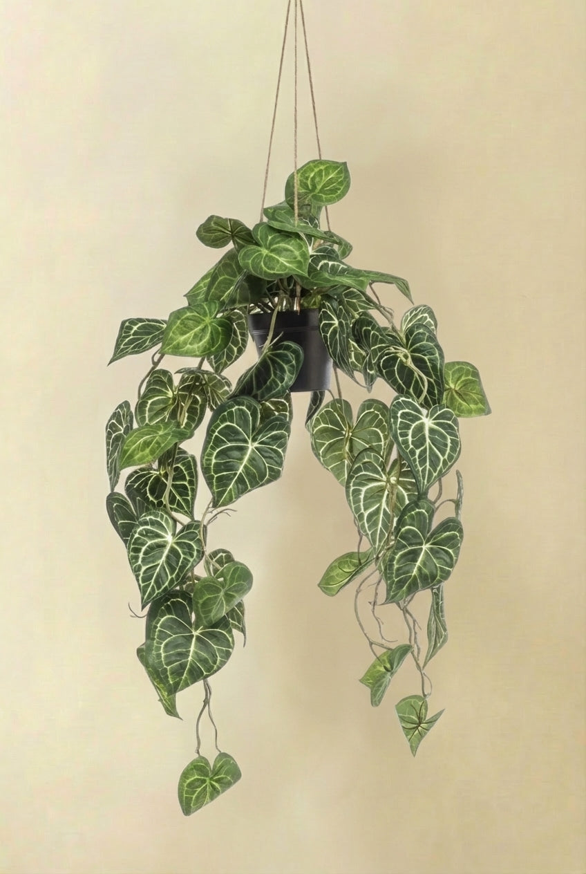 Anthurium Clarinervium plante artificielle (h80cm / Ø18cm)