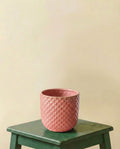 Cache pot rose