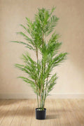 Chamaedorea Elegans plante artificielle