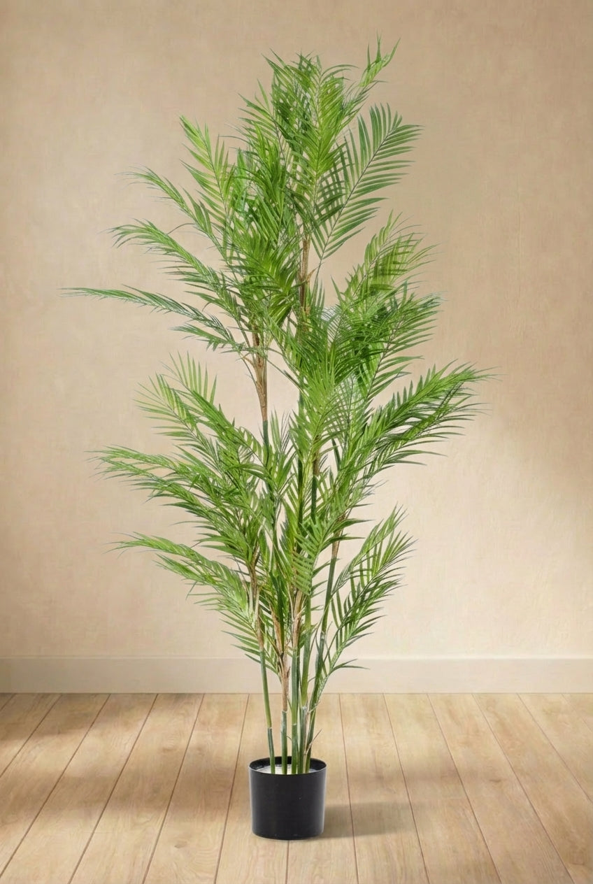 Chamaedorea Elegans plante artificielle