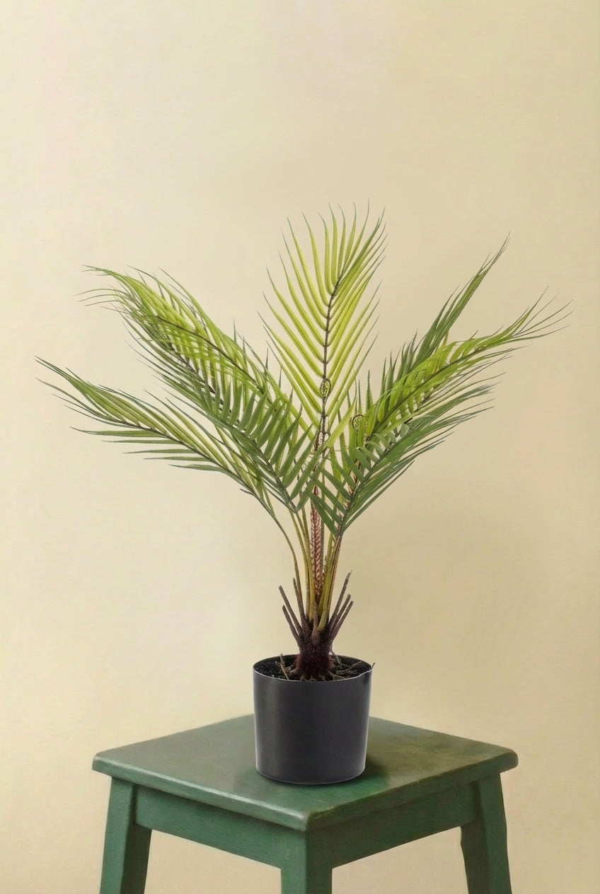 Chamaedorea artificiel (h50cm / Ø15cm)