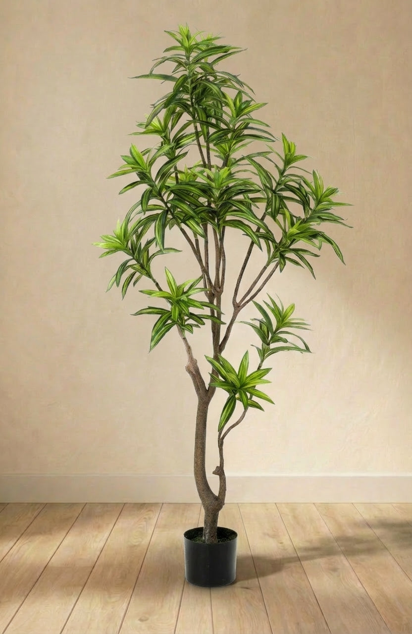 Dracaena plante artificielle (h160cm / Ø14cm)