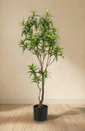 Dracaena plante artificielle (h190cm / Ø17cm)