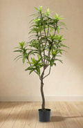 Dracaena plante artificielle (h130cm / Ø14cm)