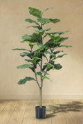Ficus Lyrata plante artificielle (h125cm / Ø14cm)