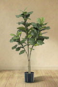 Ficus Lyrata plante artificielle (h180cm / Ø17cm)