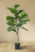 Ficus Lyrata plante artificielle (h100cm / Ø12cm)