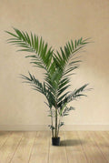 Palmier Kentia plante artificielle (h180cm / Ø15cm)