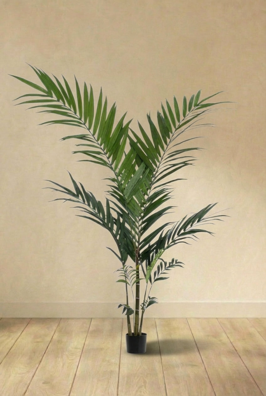 Palmier Kentia plante artificielle (h180cm / Ø15cm)