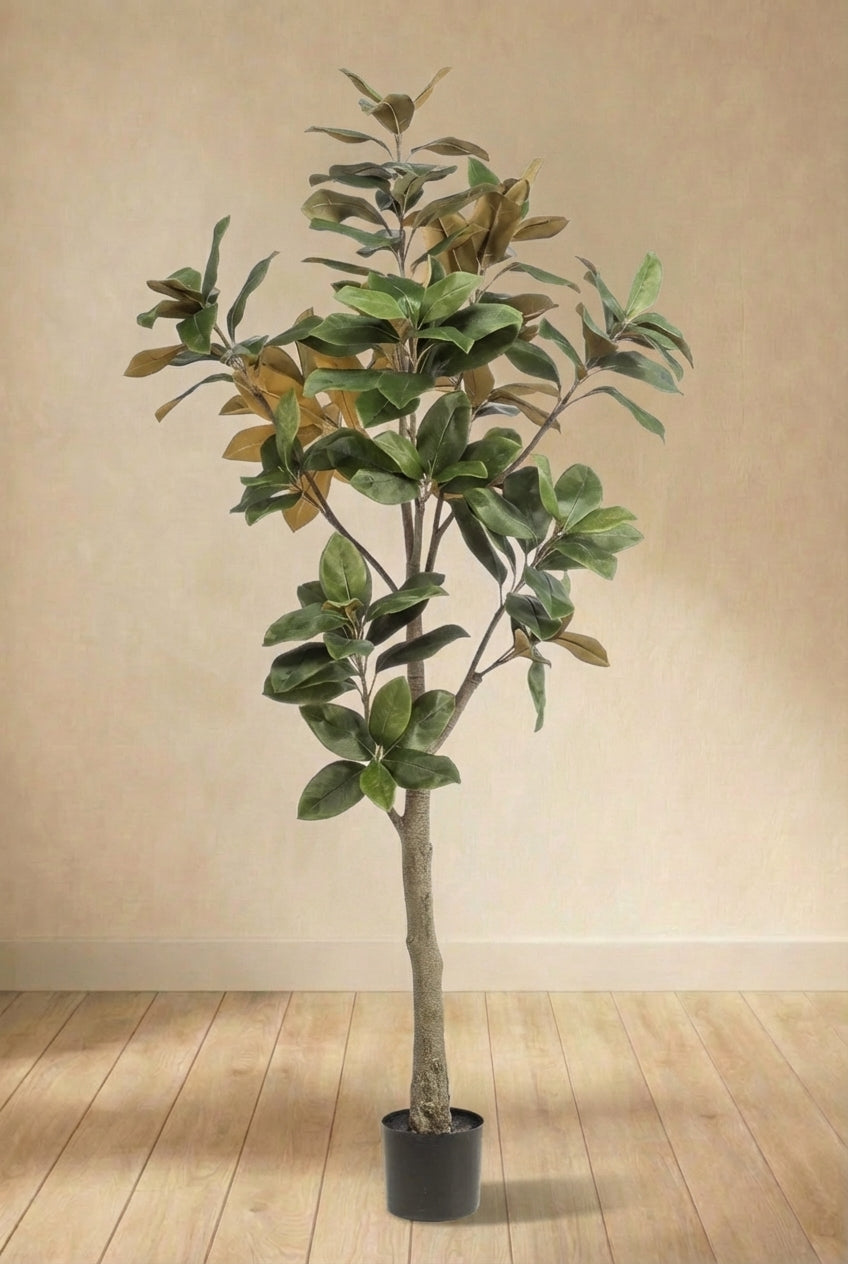 Magnolia Grandiflora plante artificielle (h180cm / Ø15cm)