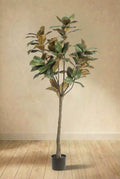 Magnolia Grandiflora plante artificielle (h150cm / Ø15cm)