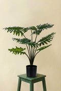 Philodendron plante artificielle (h80cm / Ø12cm)