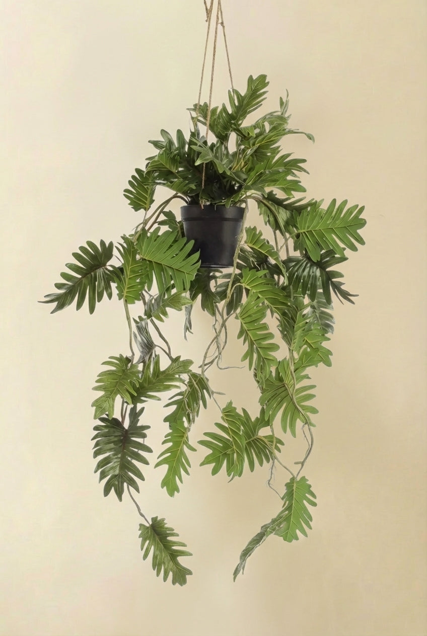 Philodendron plante artificielle (h80cm / Ø18cm)