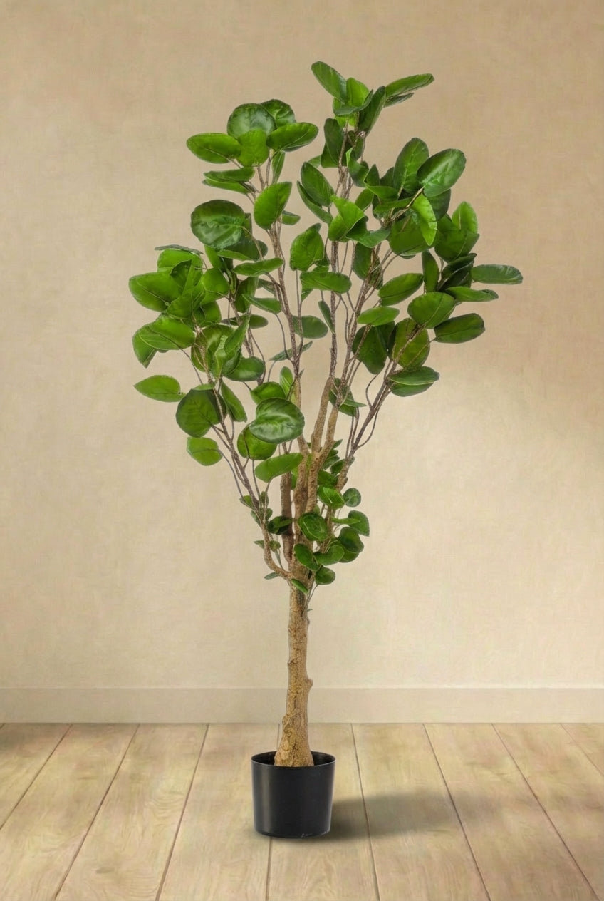 Polyscias Aralia plante artificielle (h150cm / Ø12cm)