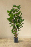 Polyscias Aralia plante artificielle (h110cm / Ø12cm)