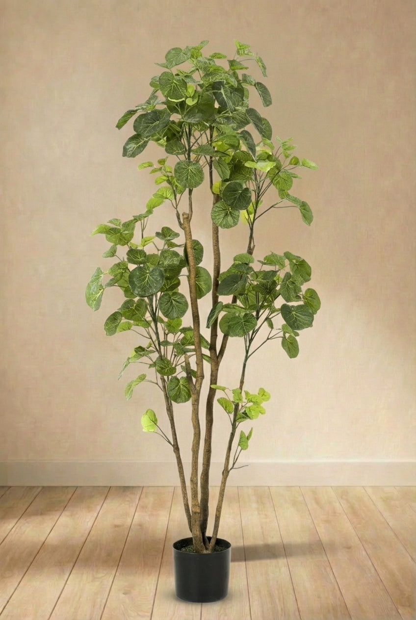Polyscias Aralia plante artificielle (h160cm / Ø14cm)