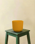 Pot rond jaune ambré (d14cm)