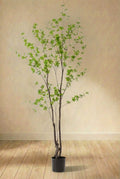 Tropaeolum Speciosum plante artificielle (h210cm / Ø17cm)