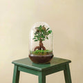 Terrarium - Egg XL Bonsai (Ø 17,5 cm ↑ 30 cm)