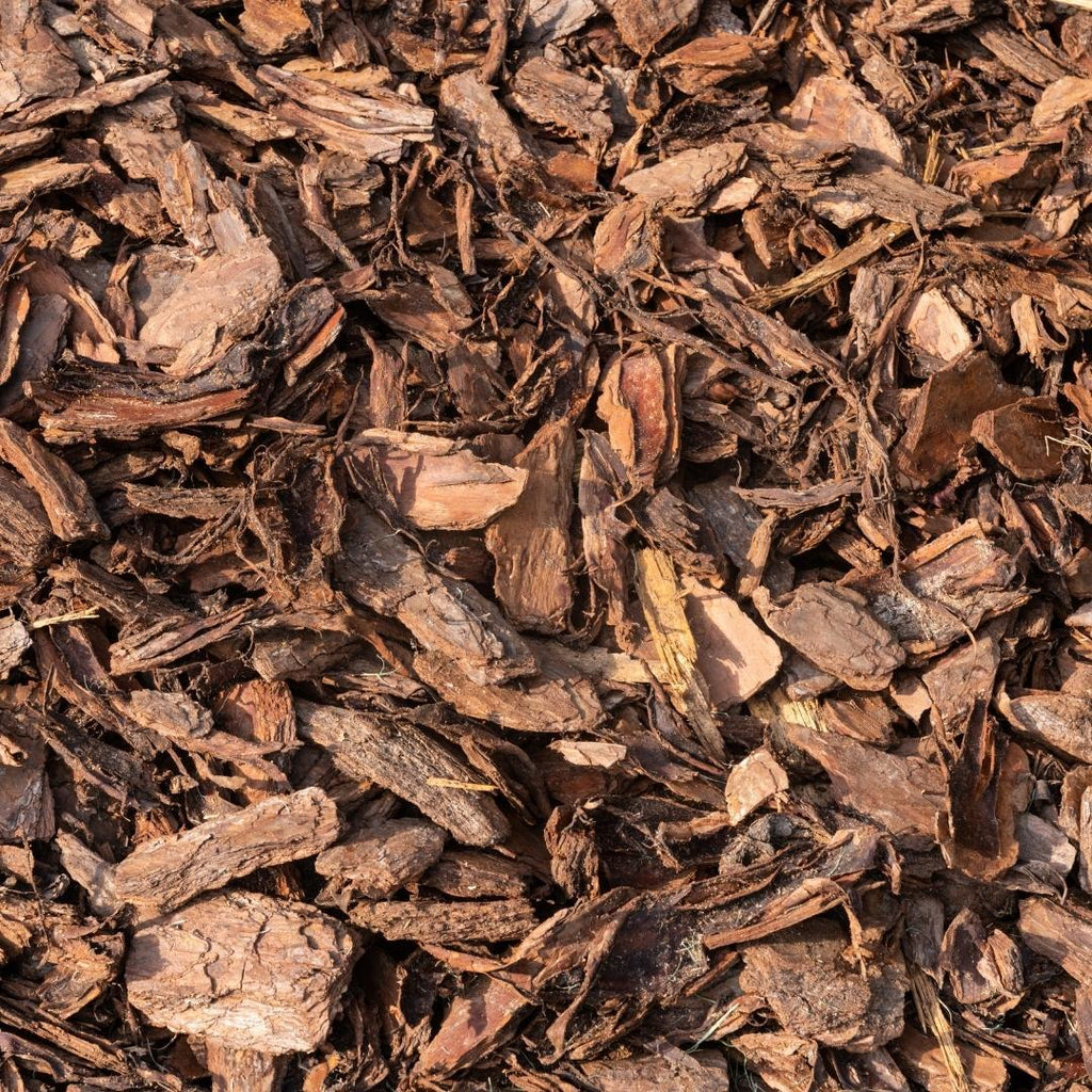 Écorce d'arbre français (40L)