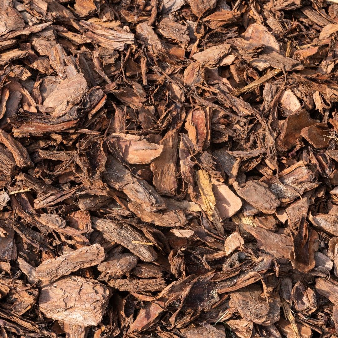 Écorce d'arbre français (40L)