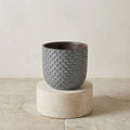 Cache pot relief (Bleu)